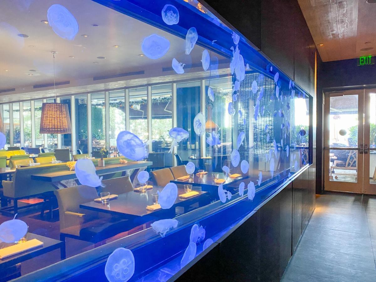 W Residences Fort Lauderdale Luxury Suites Across From Fort Lauderdale Beach 외부 사진